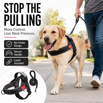 🛑 STOP LETTING YOUR DOG WALK YOU! 🐕‍🦺